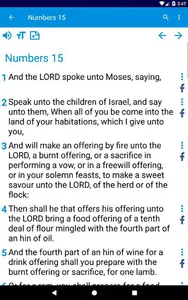 Easy to read KJV Bible screenshot 21