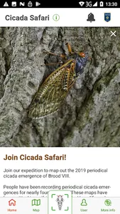 Cicada Safari screenshot 4