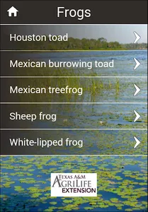 Reptiles & Amphibians of TX screenshot 2