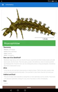 RiuApp screenshot 23