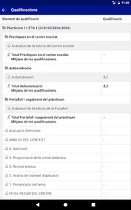 UdG Moodle screenshot 5