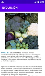 Evolución Biología screenshot 1