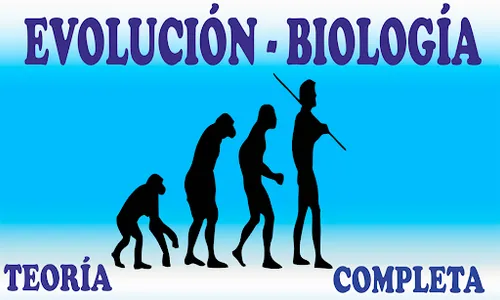 Evolución Biología screenshot 5