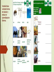 8 Idiomas: Animales..Lo mejor  screenshot 13