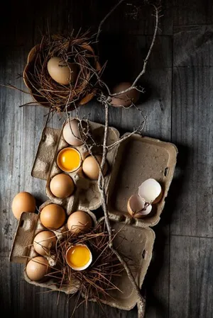 Egg Wallpaper screenshot 5