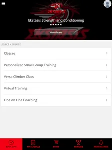 Ekstasis screenshot 5