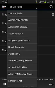 Country Music screenshot 7