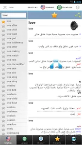 Arabic dict screenshot 16