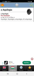 Hungarian dict fordito szotar screenshot 5
