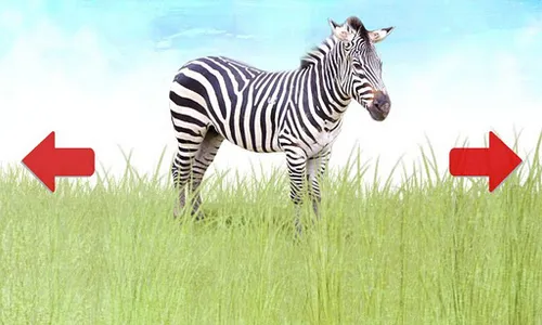 Animals for Kids screenshot 2