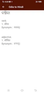 Hindi To Mizo Dictionary screenshot 7