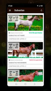 Equinabursatil Subastas screenshot 1