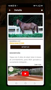 Equinabursatil Subastas screenshot 3