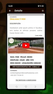 Equinabursatil Subastas screenshot 4