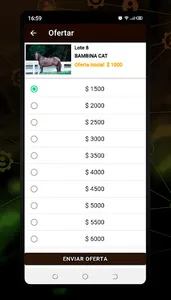 Equinabursatil Subastas screenshot 6