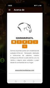 Equinabursatil Subastas screenshot 7
