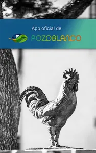 Pozoblanco screenshot 12