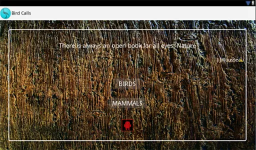 Bird Calls screenshot 7