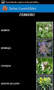 Setas  y Plantas Comestibles screenshot 2