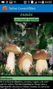 Setas  y Plantas Comestibles screenshot 4