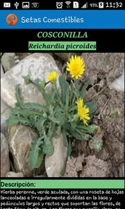 Setas  y Plantas Comestibles screenshot 5