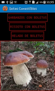 Setas  y Plantas Comestibles screenshot 7