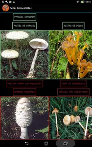 Setas  y Plantas Comestibles screenshot 9