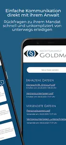 RA Goldmaier screenshot 1