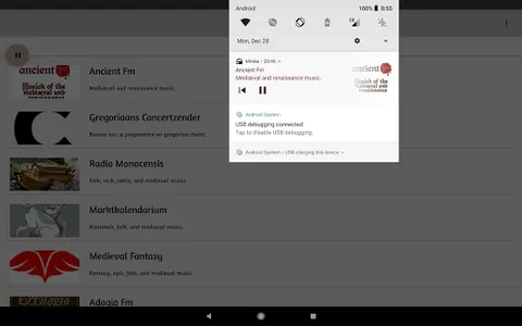 Minne Radio - Medieval & Neo M screenshot 4
