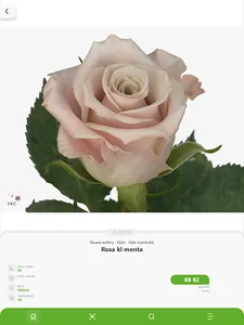 Tulipa MAT screenshot 5