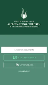Safeguarding.ie screenshot 0