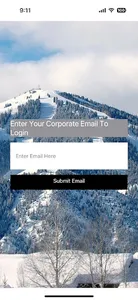 DMC SV23 screenshot 1