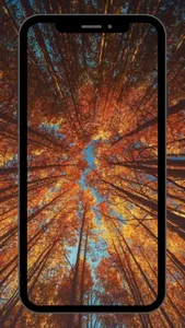 Fall Wallpaper Aesthetic 4K screenshot 2