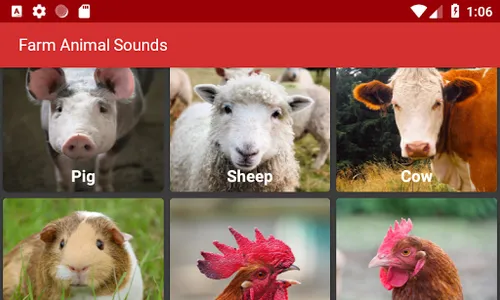 Farm Animal Sounds screenshot 14