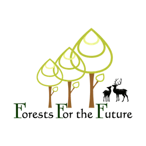 Forest for the Future screenshot 1