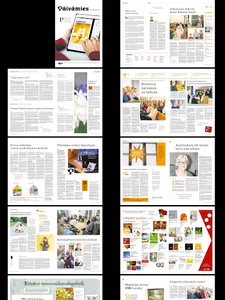 Päivämies screenshot 12