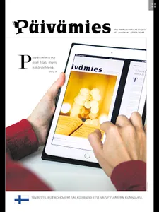 Päivämies screenshot 6