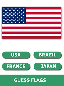 Flag Quiz Gallery: Quiz, Guess screenshot 6