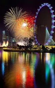 Firework Live Wallpaper 2023 screenshot 6