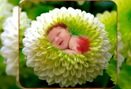 Flower Photo Editor screenshot 1
