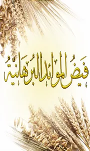 FMB Dublin screenshot 0