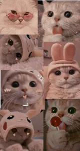 Fondo De Pantalla Gatito Lindo screenshot 0