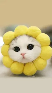 Fondo De Pantalla Gatito Lindo screenshot 2