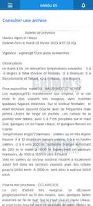 GRIMMs - condi météo avalanche screenshot 1