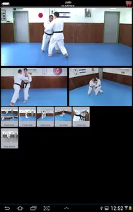 iBudokan Judo All screenshot 5