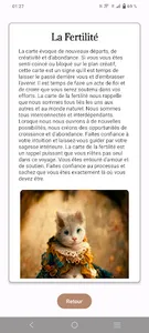 L'Oracle des Chats mystérieux screenshot 2