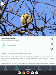 INPN Espèces screenshot 10