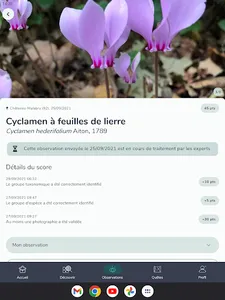 INPN Espèces screenshot 12