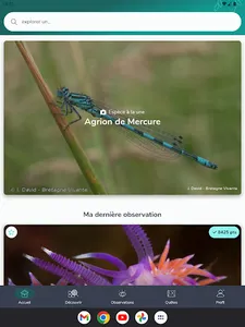 INPN Espèces screenshot 8