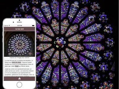 Vitraux basilique Saint-Denis screenshot 2